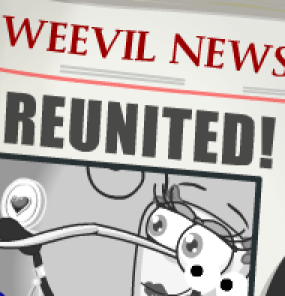 weevil news